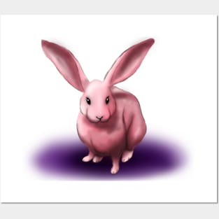 Pink Rabbit Posters and Art